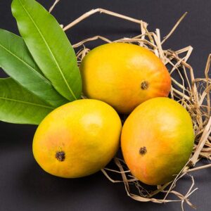 Devgad Alphonso Mango | Villkart